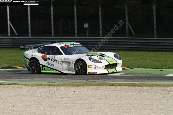 GINETTA (24)