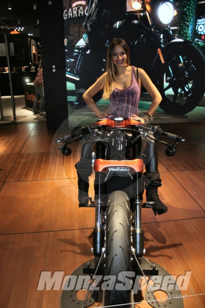 EICMA 2013 (56)