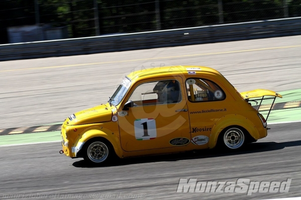 Minicar (14)