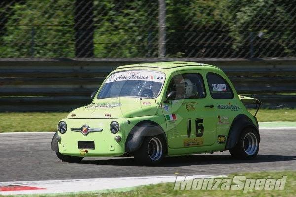 Minicar (37)