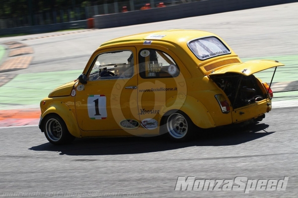 Minicar (43)