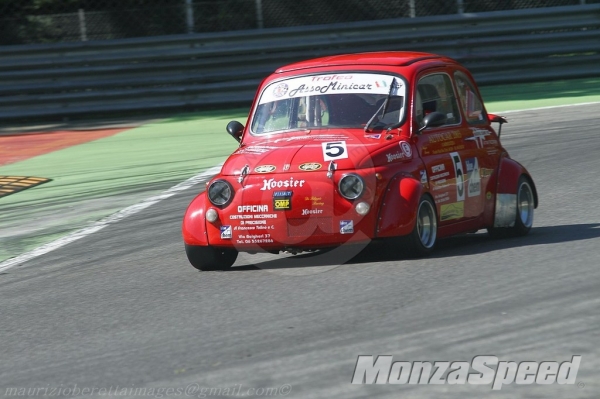 Minicar (6)