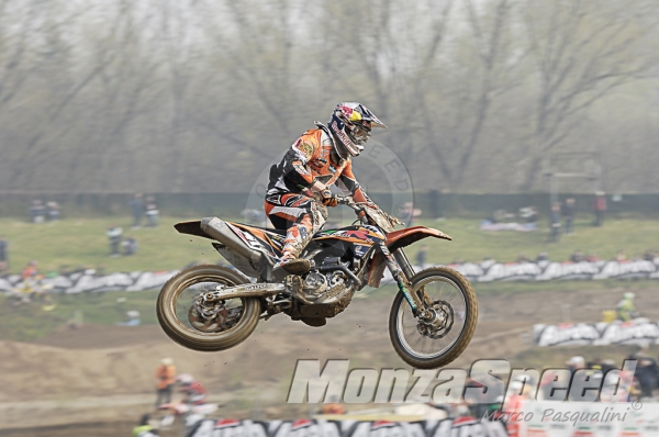 Mantova Starcross  (57)