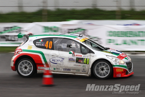 Monza Rally Show 2014 (28)