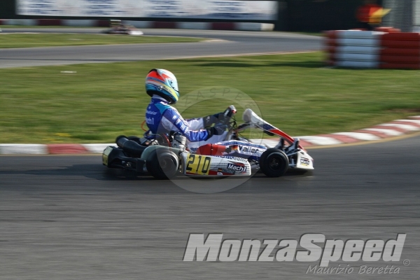 Trofeo Margutti  (7)