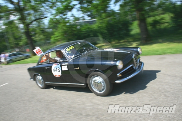 Mille Miglia (80)