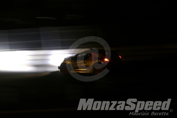 Monza Rally Show (114)