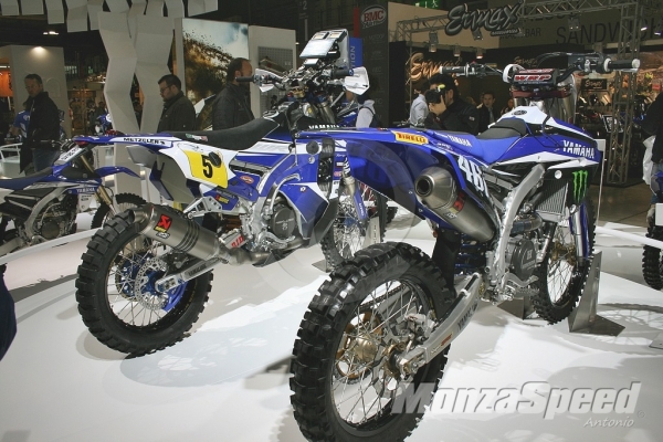 Eicma (50)