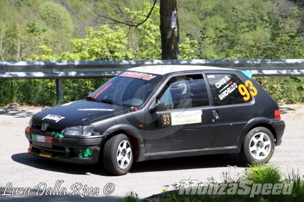 Rally del Bellunese (68)