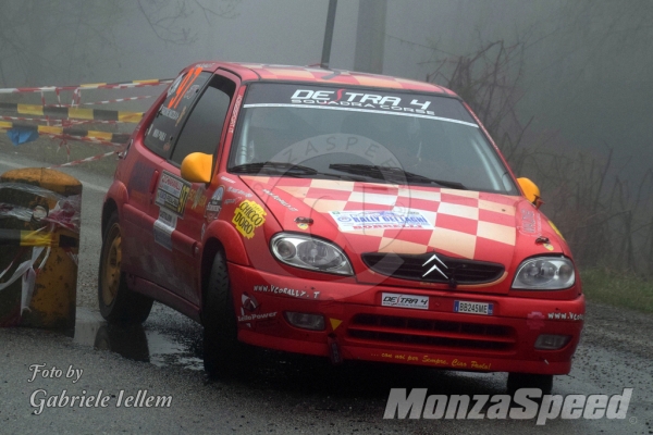 Rally dei Laghi  (115)