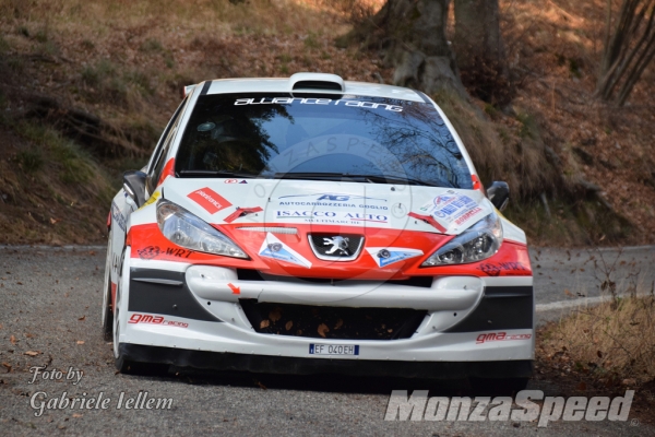 Rally dei Laghi  (76)