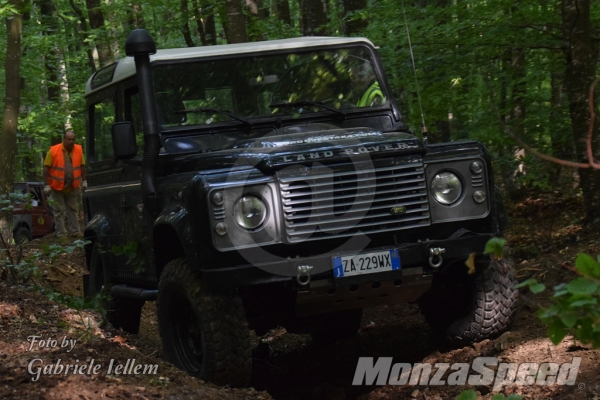 VinOffroad (159)