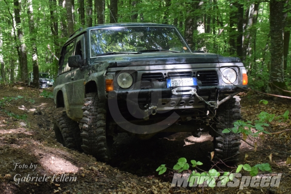 VinOffroad (161)