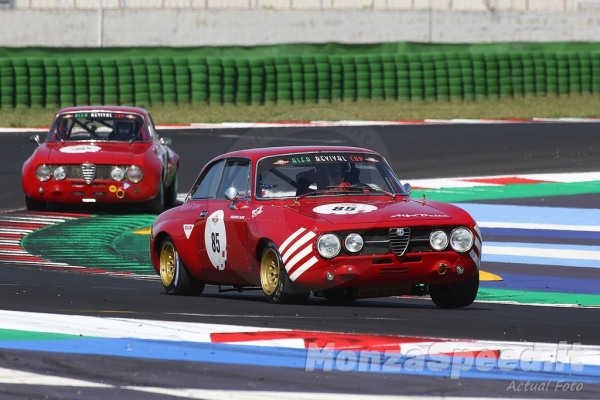 Alfa Revival Cup Misano 2022 (68)