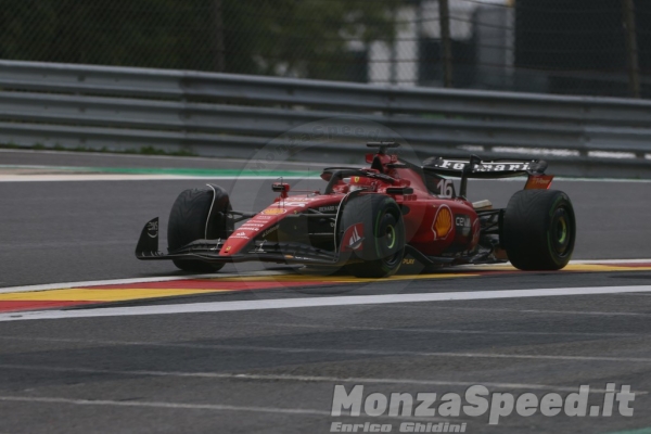 F1 Gp Belgio Venerdi  2023 (10)