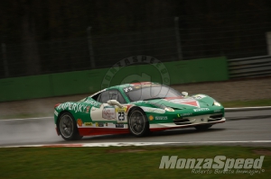 CHALLENGE FERRARI TROFEO SCHELL PIRELLI MONZA 2013 338