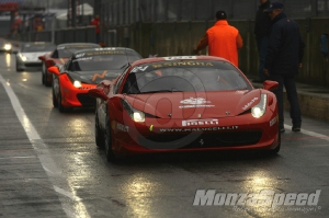 CHALLENGE FERRARI TROFEO SCHELL PIRELLI MONZA 2013 412