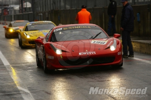 CHALLENGE FERRARI TROFEO SCHELL PIRELLI MONZA 2013 421