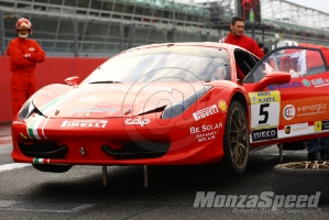 CHALLENGE FERRARI TROFEO SCHELL PIRELLI MONZA 2013 470