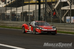 CHALLENGE FERRARI TROFEO SCHELL PIRELLI MONZA 2013 498