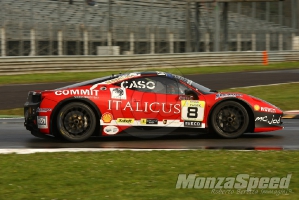 CHALLENGE FERRARI TROFEO SCHELL PIRELLI MONZA 2013 535