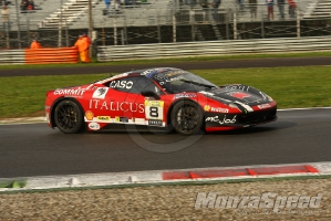 CHALLENGE FERRARI TROFEO SCHELL PIRELLI MONZA 2013 608