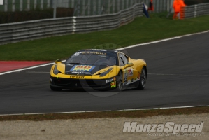 CHALLENGE FERRARI TROFEO SCHELL PIRELLI MONZA 2013 711