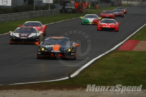 CHALLENGE FERRARI TROFEO SCHELL PIRELLI MONZA 2013 721