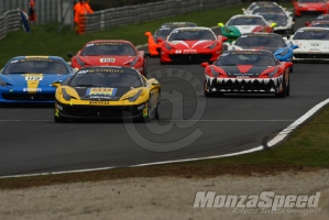 CHALLENGE FERRARI TROFEO SCHELL PIRELLI MONZA 2013 747