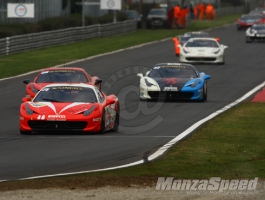 CHALLENGE FERRARI TROFEO SCHELL PIRELLI MONZA 2013 783