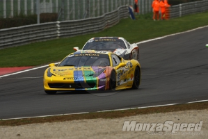 CHALLENGE FERRARI TROFEO SCHELL PIRELLI MONZA 2013 807