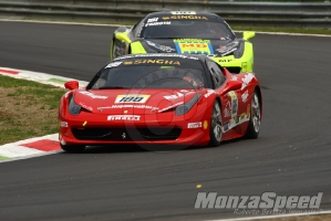 CHALLENGE FERRARI TROFEO SCHELL PIRELLI MONZA 2013 825