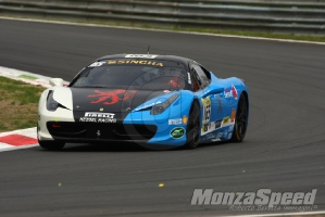 CHALLENGE FERRARI TROFEO SCHELL PIRELLI MONZA 2013 842