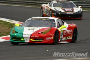 CHALLENGE FERRARI TROFEO SCHELL PIRELLI MONZA 2013 881