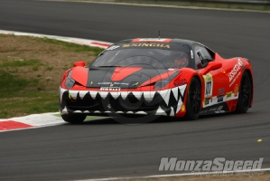 CHALLENGE FERRARI TROFEO SCHELL PIRELLI MONZA 2013 895