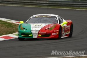 CHALLENGE FERRARI TROFEO SCHELL PIRELLI MONZA 2013 903