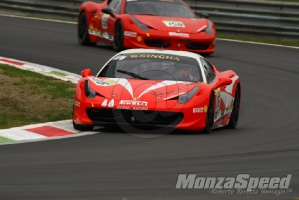 CHALLENGE FERRARI TROFEO SCHELL PIRELLI MONZA 2013 915