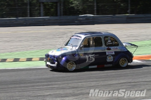 Minicar (17)