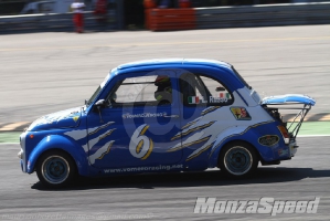 Minicar (20)