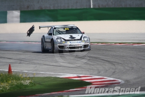 Porsche GT3 Cup (2)