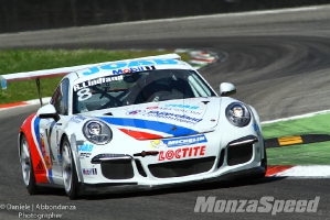 Test Porsche Supercup(13)