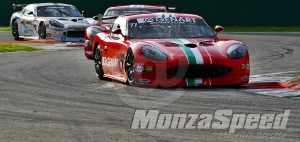 GT4 European Series  Ginetta G50 Cup Monza (122)