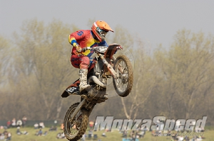 Mantova Starcross