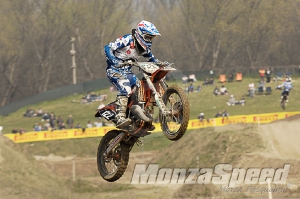 Mantova Starcross