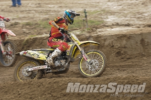 Mantova Starcross  (46)