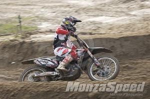 Mantova Starcross  (76)