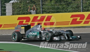 Michael Schumacher  (11)