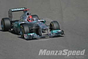 Michael Schumacher  (6)