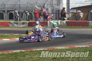 Trofeo Margutti  (28)