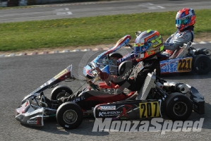 Trofeo Margutti  (51)